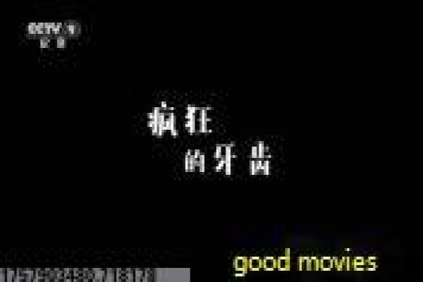 《咸鱼欧巴》欧巴咸鱼影片简介与搞笑人生深度讲解