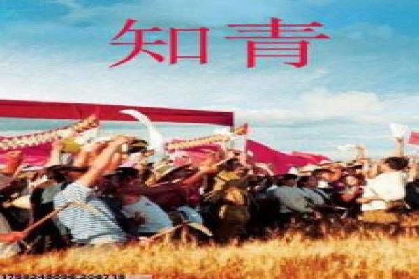 《杨贵妃》妃之杨贵影片详细解析及宫廷传奇分析