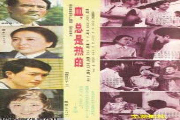 《博尼法斯修女探案集第二季》故事情节深度还原,博尼法斯修女探案续季的过程
