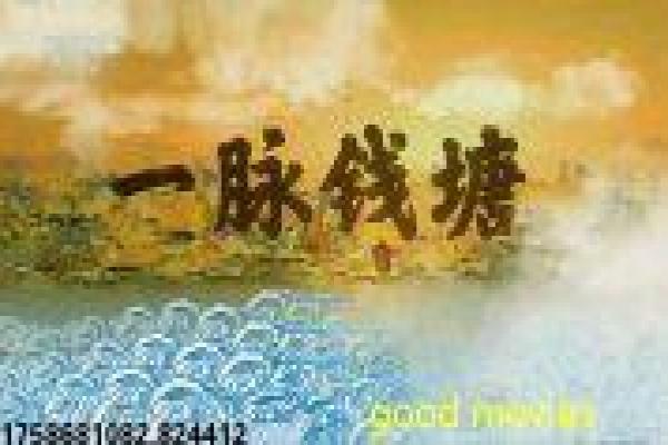 《小象守护者》影视讲解,小象守护者自然的感人解析