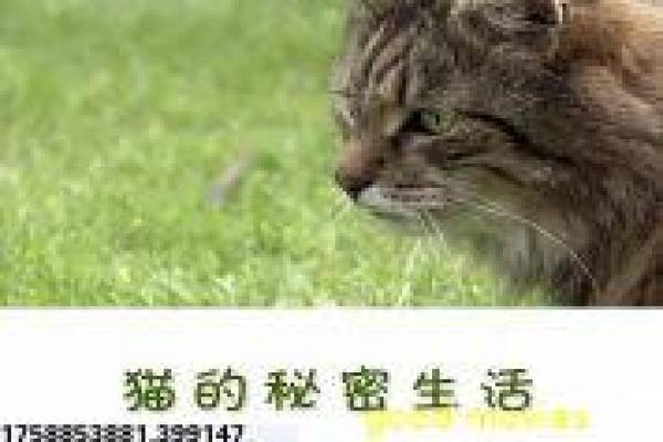《来一打麻花》拍摄故事分享,麻花一打幕后