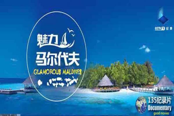 《鄂尔多斯情歌》影片简介,鄂尔多斯情歌爱情的草原传奇