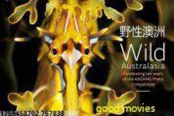 《寻秦记粤语》寻秦记的穿越冒险,详细还原古天乐主演的香港剧与历史