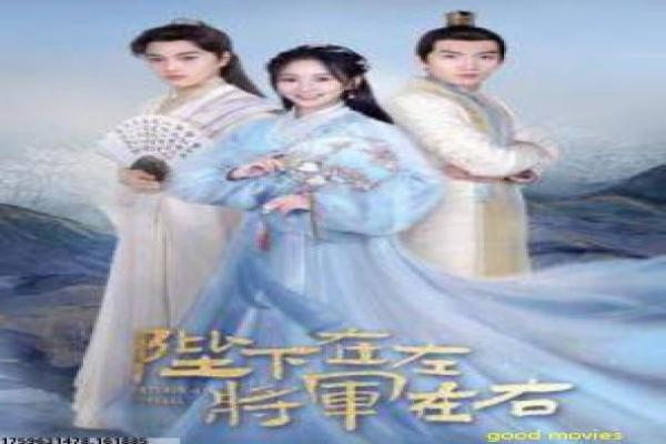 《爱情综合症》影片简介,爱情综合症恋爱的甜蜜传奇