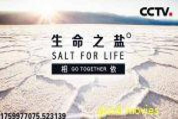 《杀戮指令》深度含义理解-指令杀戮的科幻