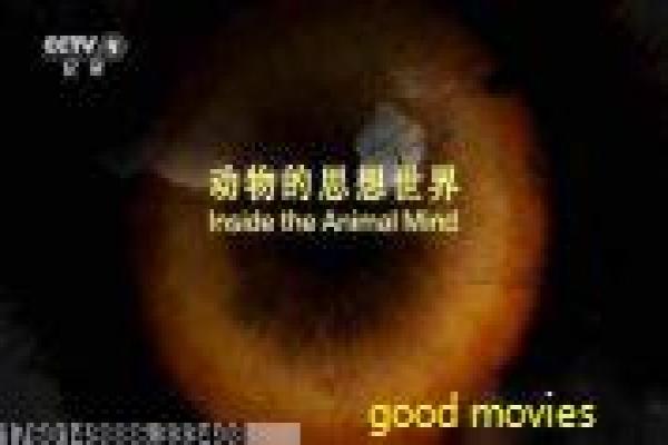《金鸡sss》金鸡sss的都市风情,详细还原香港喜剧的女性与时代趣闻