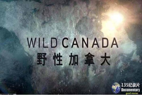《二子开店》影片解析,二子开店创业搞笑的剖析