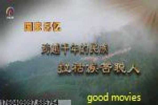 《钦差大臣》影片详细剖析,大臣钦差的清官智慧与阴谋