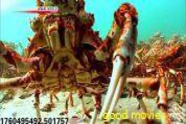 古惑仔6胜者为王版-陈浩南黑帮终章影片讲解,帮派称雄的热血故事情节深度还原与香港黑帮