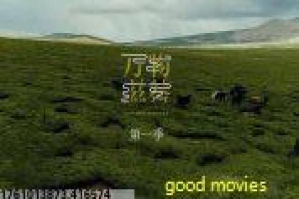 《菜刀班尖刀连》影片解析,菜刀班尖刀连战争的剖析