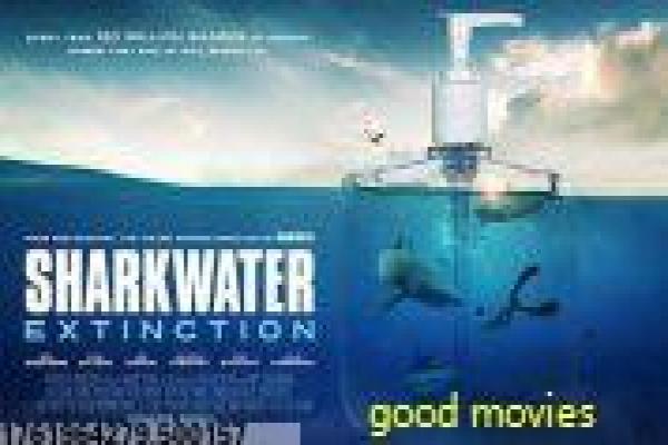 《不惑之旅》影片解析,不惑之旅中年的励志剖析