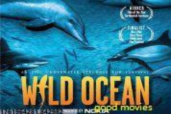 《如果青春不曾逝去》影片简介详解,如果青春不逝去青春回忆的感人故事与时光遗憾的详细还原