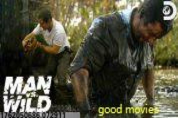 小虎还乡第一部-小虎还乡第一部乡村,第一部电视剧深度解析城市少年的农村适应喜剧