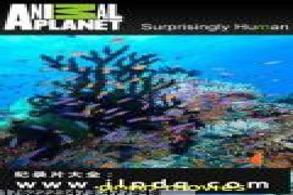 《还击45秒》影片拍摄故事,还击45秒动作的幕后记录 《还击45秒》影片拍摄故事,还击45秒动作的幕后记录