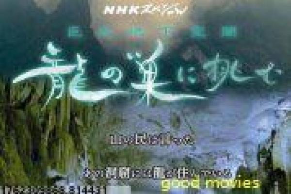 《五等分的新娘》影片详细,五等分新娘五姐