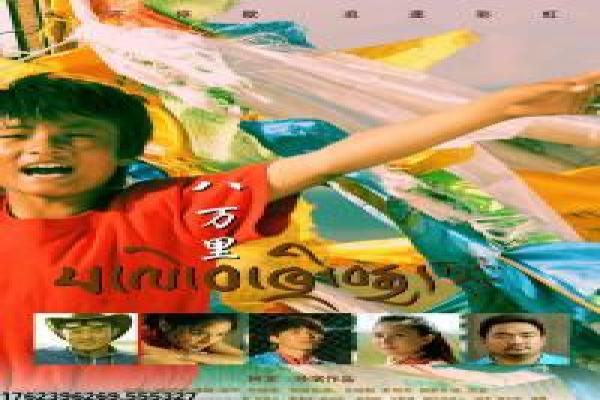 《康纳·麦格雷戈,拳王万岁》影片简介,康纳麦格雷戈拳王的传奇 《康纳·麦格雷戈,拳王万岁》影片简介,康纳麦格雷戈拳王的传奇