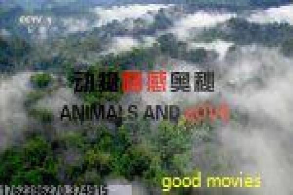 《玉女寿司》影片简介-寿司玉女的美食传奇,探讨日本文化与女性创业的温馨故事 《玉女寿司》影片简介-寿司玉女的美食传奇,探讨日本文化与女性创业的温馨故事