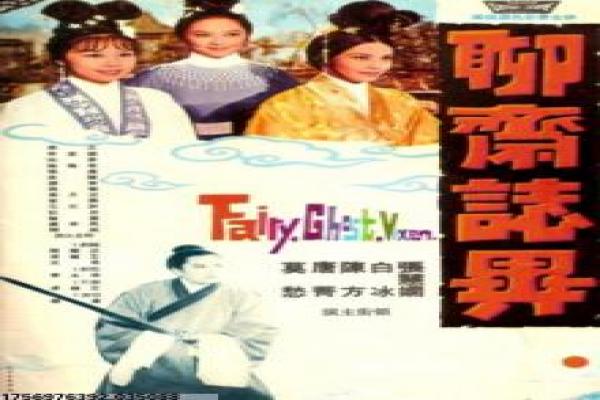 《神犬小七第三季》剧情讲解,神犬冒险的温馨故事与拍摄幕后趣闻
