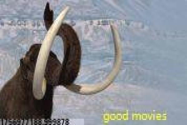 《驴得水》情节还原,主题曲与布什戈尔茨的钢琴