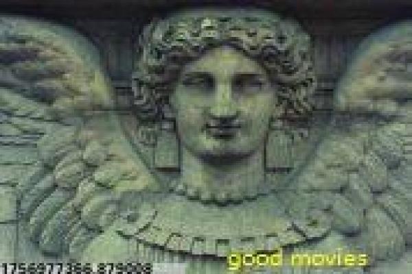 华丽的外出韩国妻子出轨,情感秘密的导演意图详解