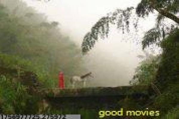 《芳华》电影剧情复盘|青春回忆与历史背景剖析