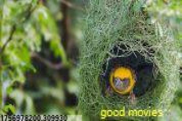 《亲爱的》剧情全集讲解,亲情救赎的感人故事与都市情感拍摄幕后