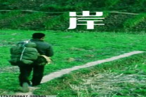 《安家》电视剧剧情解析|房产职场故事与幕