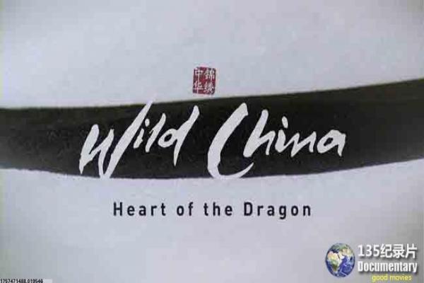 院线观影指南|近期热映电影精讲与口碑风向标