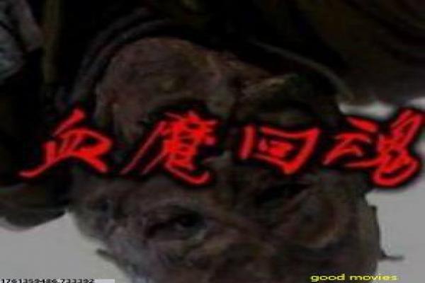 《海啸奇迹》海啸灾难的感人生存,解析人性