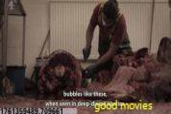 《超级恋人ova1》禁忌恋情的甜蜜冒险,