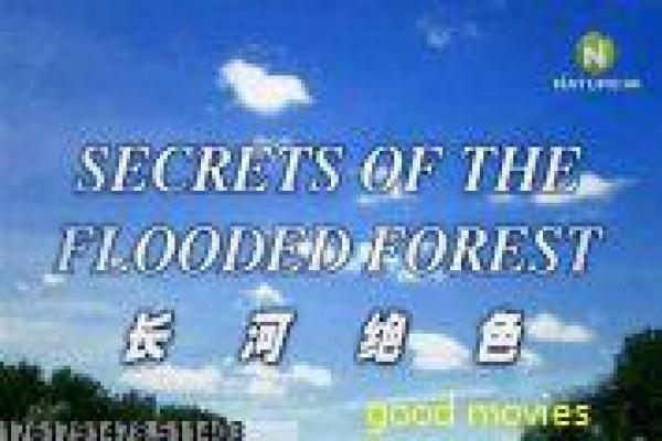 《时空大挪移》时空大挪移的科幻穿越故事情